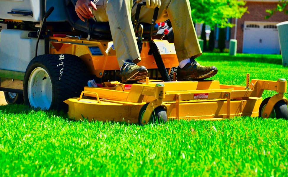 lawn care companies in South Florida