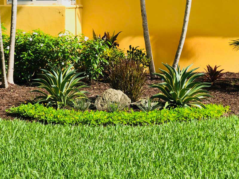 Miami Fl Landscaping Projects Pink, Landscaping Ideas Miami Florida