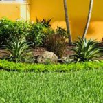 bay colony point fort lauderdale landscape-project