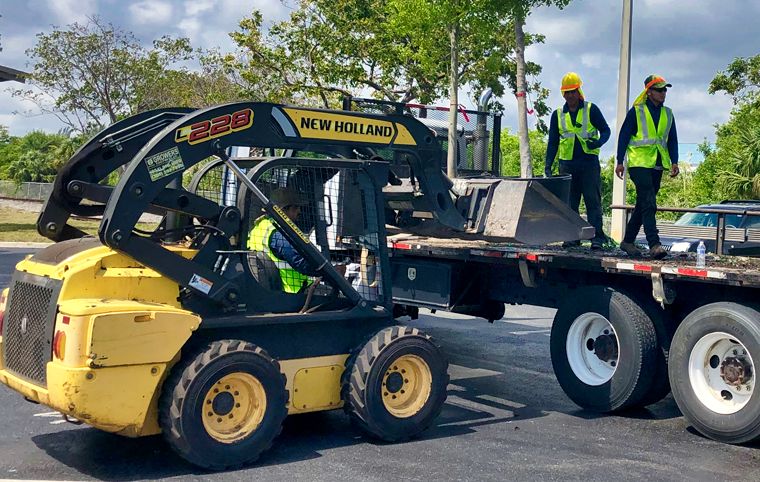 Tree Service Pembroke Pines, FL - Tree Removal, Trimming & Stump Grinding